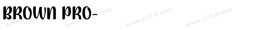 BROWN PRO字体转换
